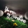 Néon "You Are My Sunshine" - 3