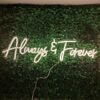 Néon "Always Forever" - 3