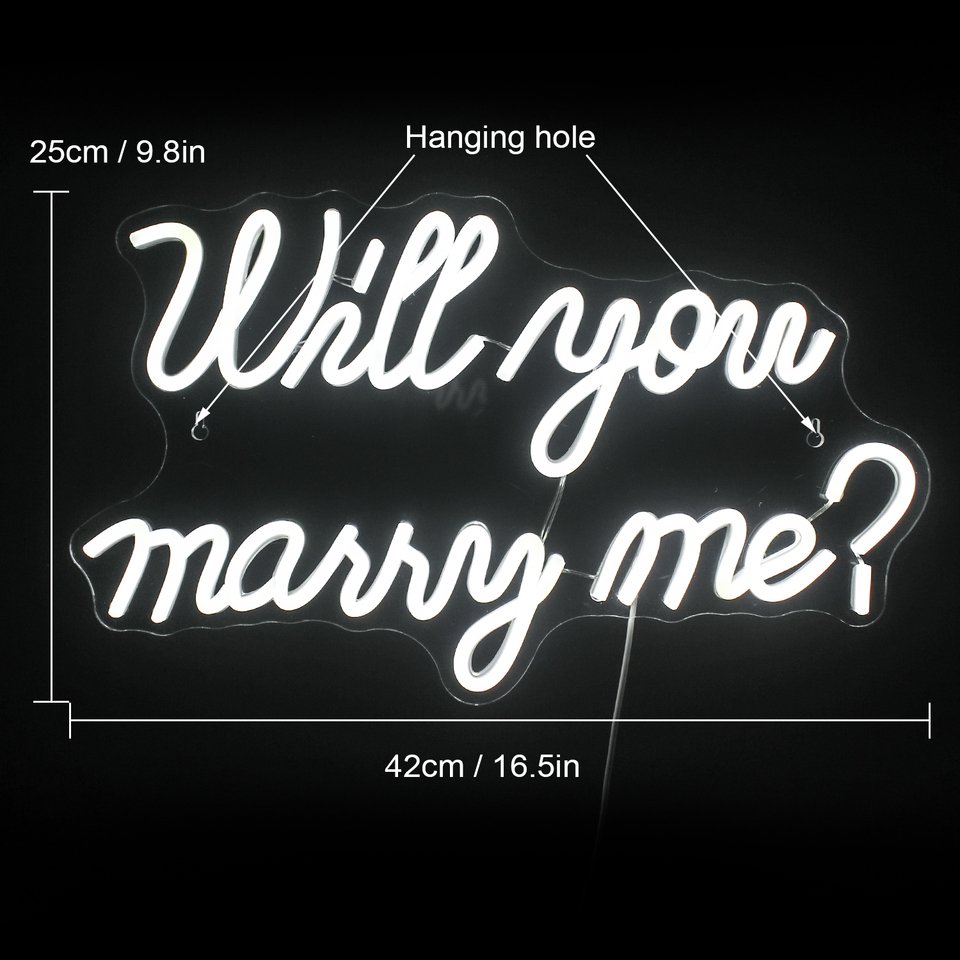 Néon "Will You Marry Me" - 7